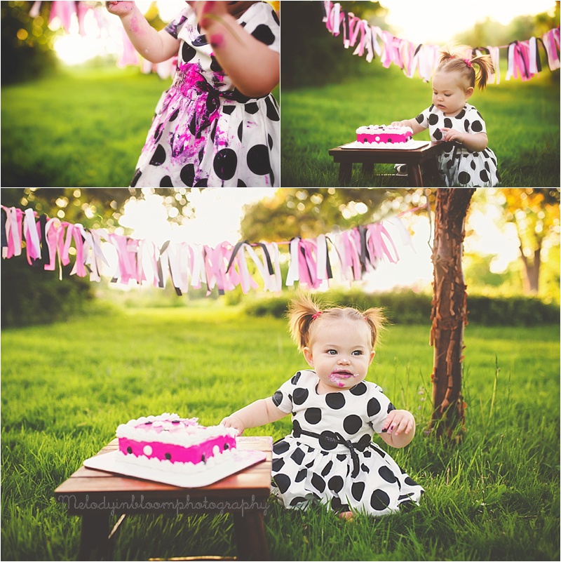 Gurnee, IL Cake Smash Photographer