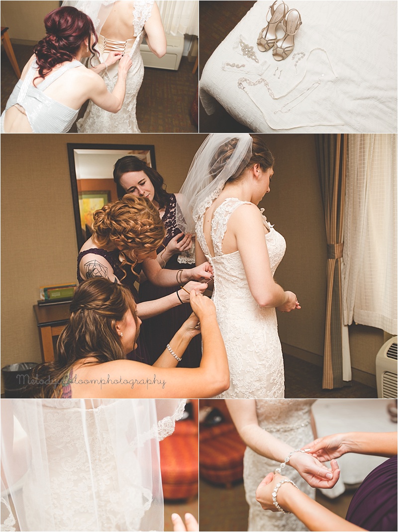 Chicago, IL Wedding Photographer