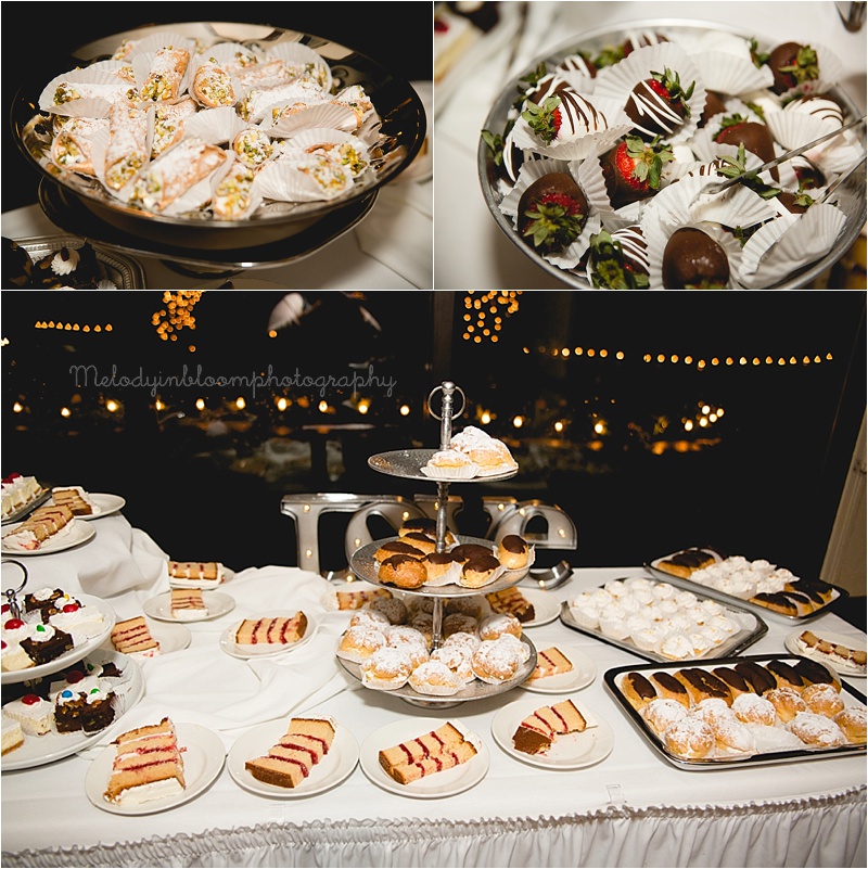 Chicago, IL Wedding Photographer