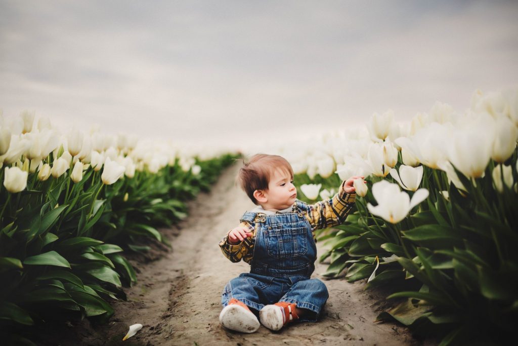 Toddler sitting in a field of tulips; Photographer in Camarillo